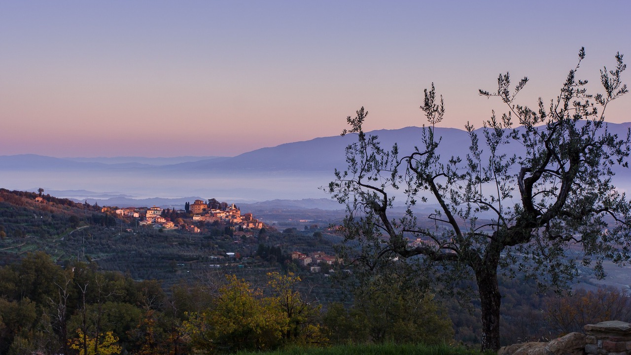 Photo of Outdoor in Montevarchi
