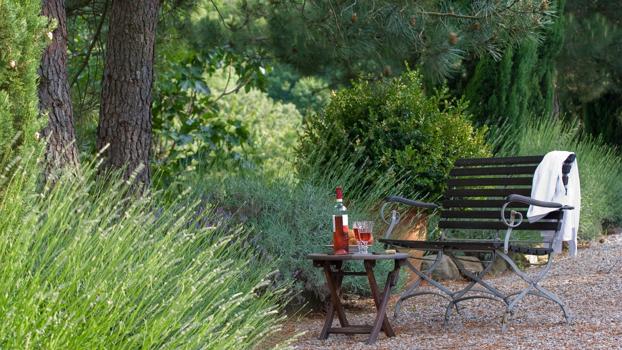 Photo of Outdoor in Montevarchi