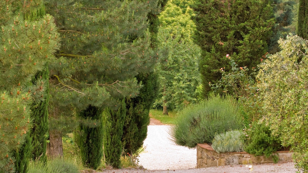Photo of Outdoor in Montevarchi