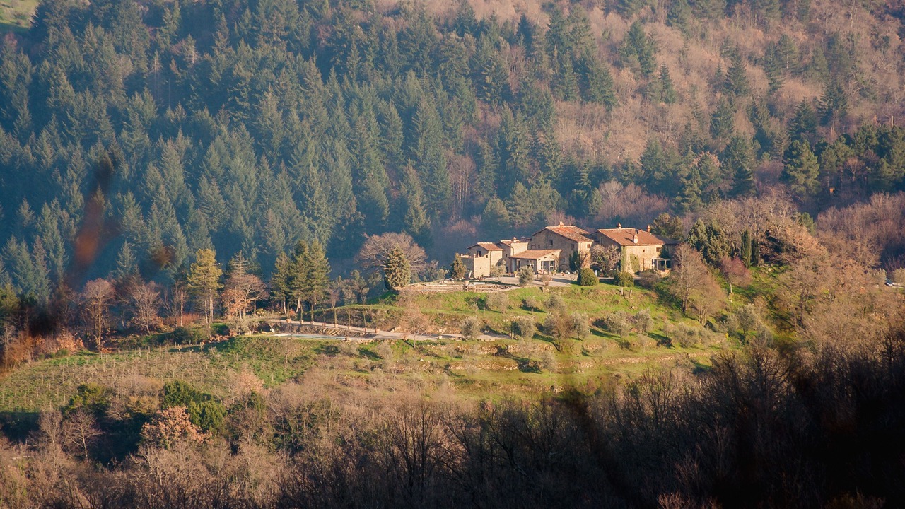 Photo of Outdoor in Montevarchi