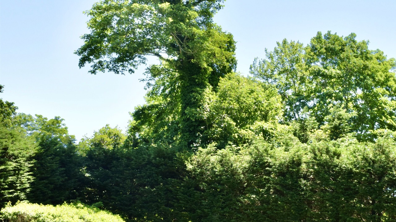 Photo of Outdoor in Village of East Hampton