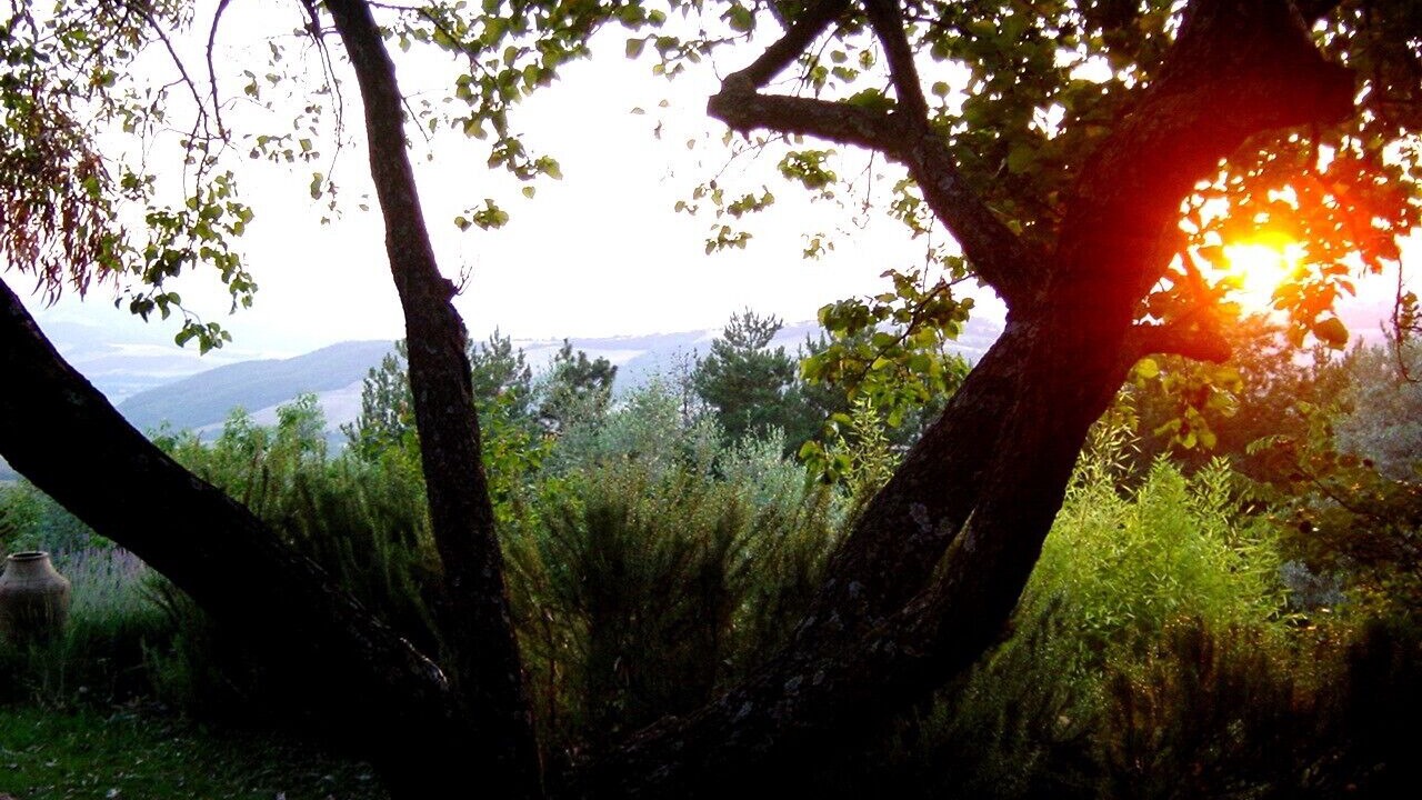 Photo of Outdoor in Radicondoli