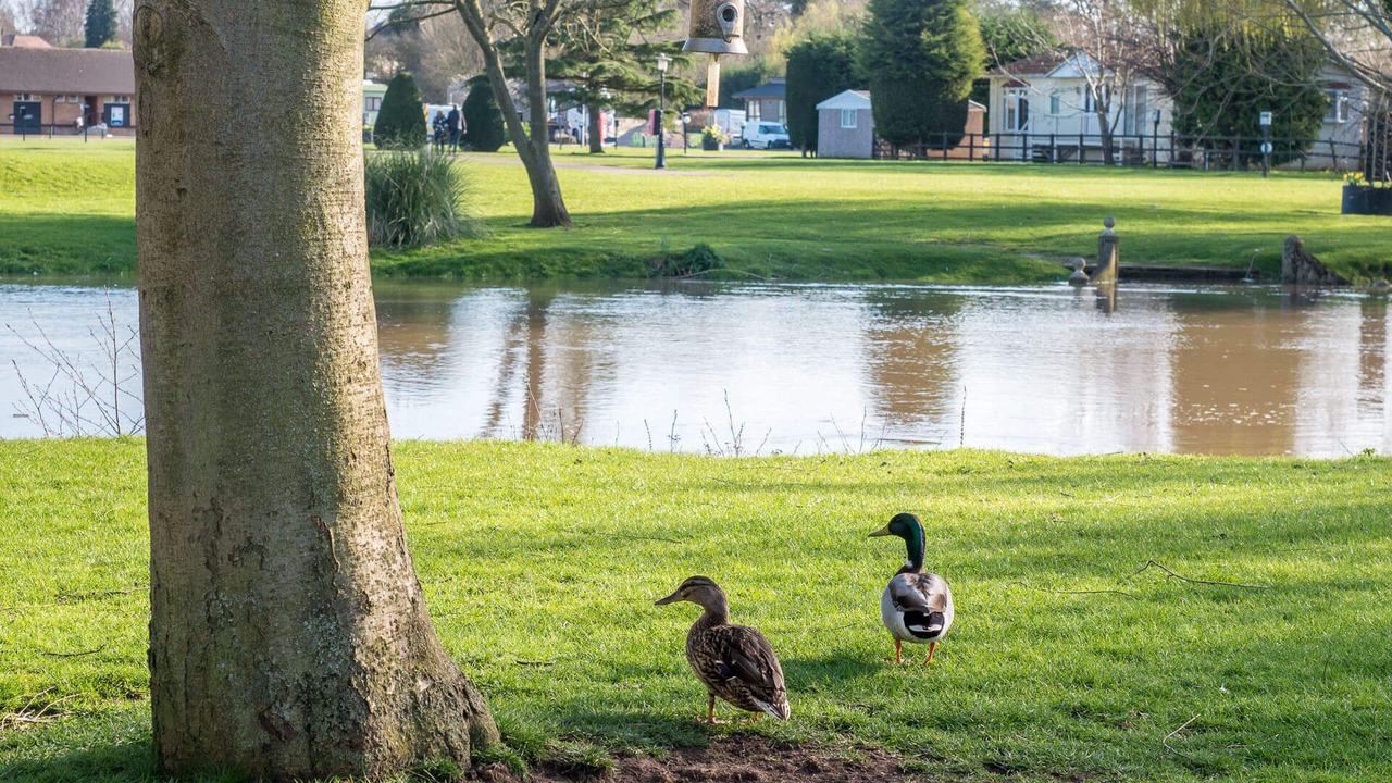 Photo of Outdoor in Tiddington