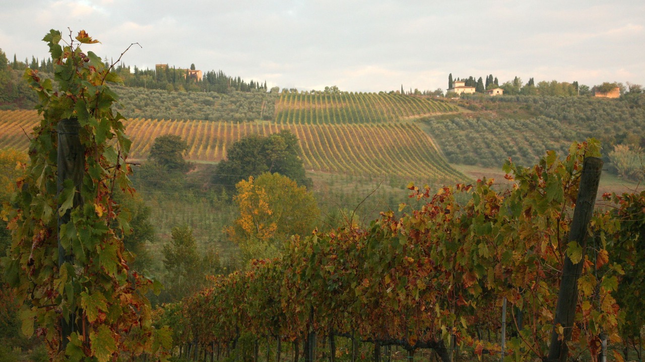 Photo of Outdoor in Tavarnelle Val di Pesa
