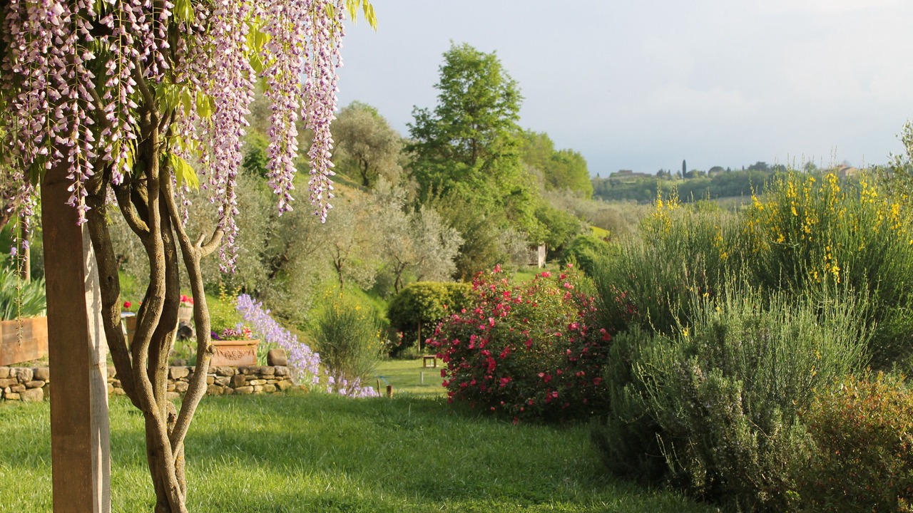 Photo of Outdoor in Tavarnelle Val di Pesa