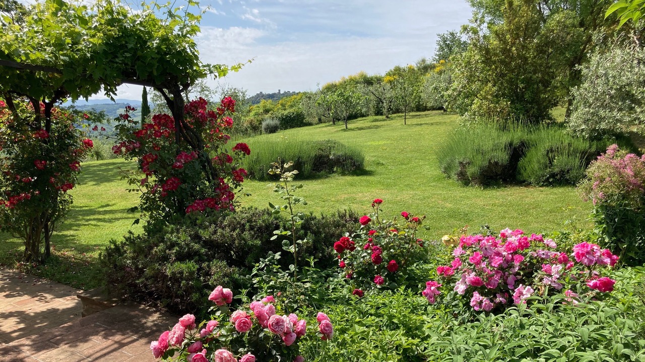 Photo of Outdoor in Lucardo
