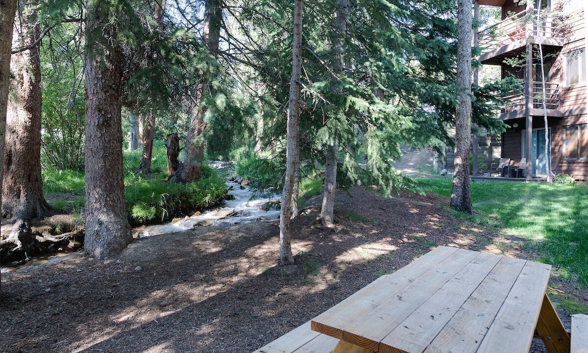 Photo of Outdoor in Four O'Clock