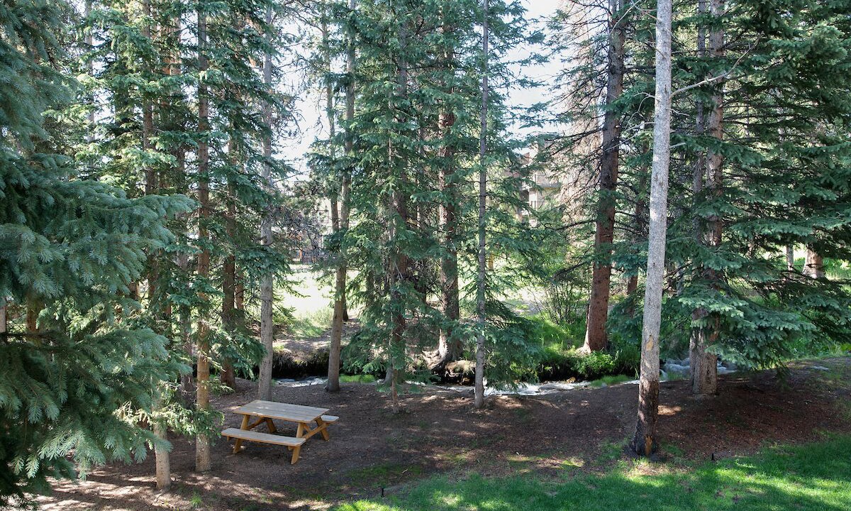 Photo of Outdoor in Four O'Clock