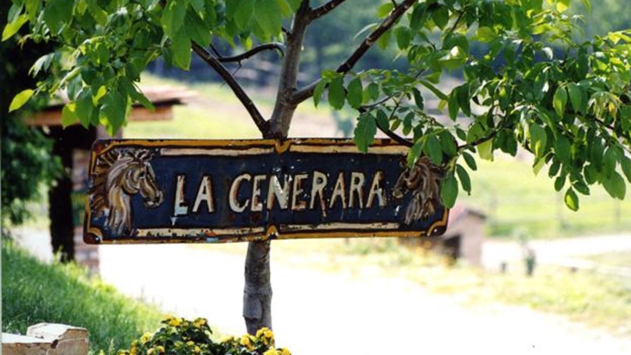 Photo of Others in Lugagnano Val D'Arda