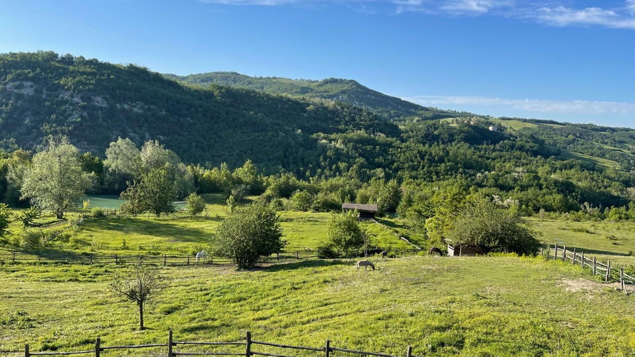 Photo of Others in Lugagnano Val D'Arda