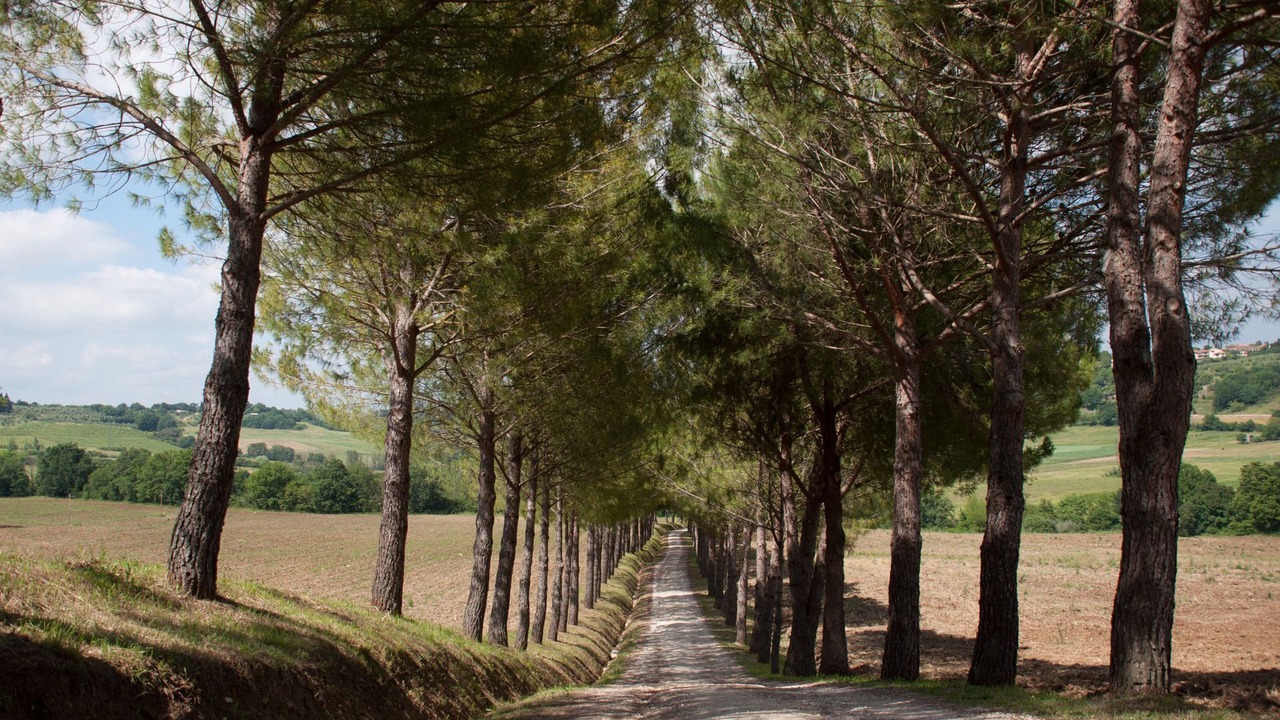 Photo of Others in Colle di Val d'Elsa