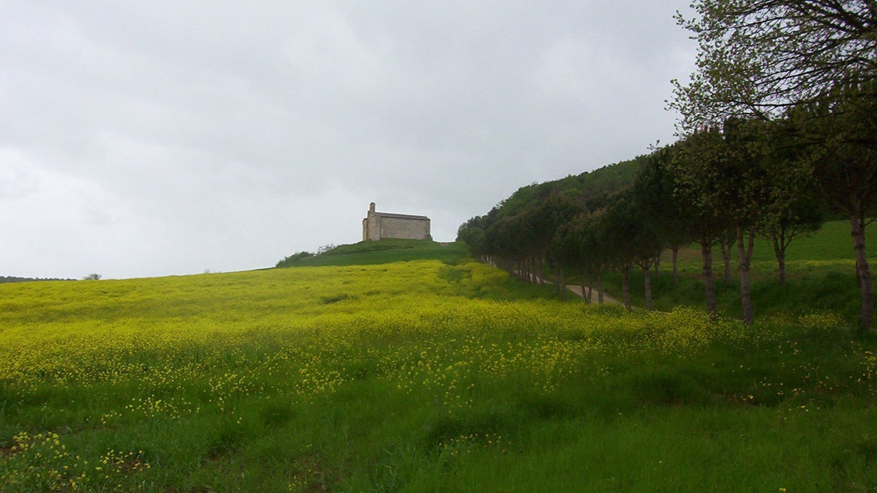 Photo of Others in Colle di Val d'Elsa