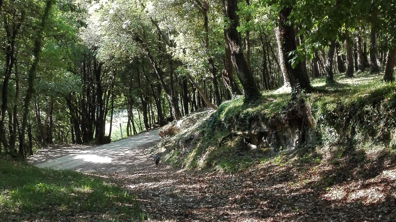 Photo of Outdoor in Colle di Val d'Elsa