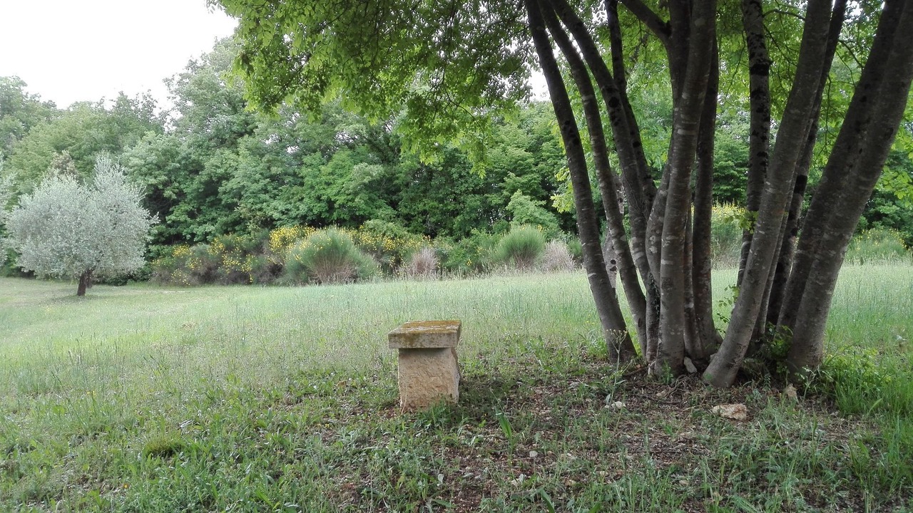 Photo of Outdoor in Colle di Val d'Elsa