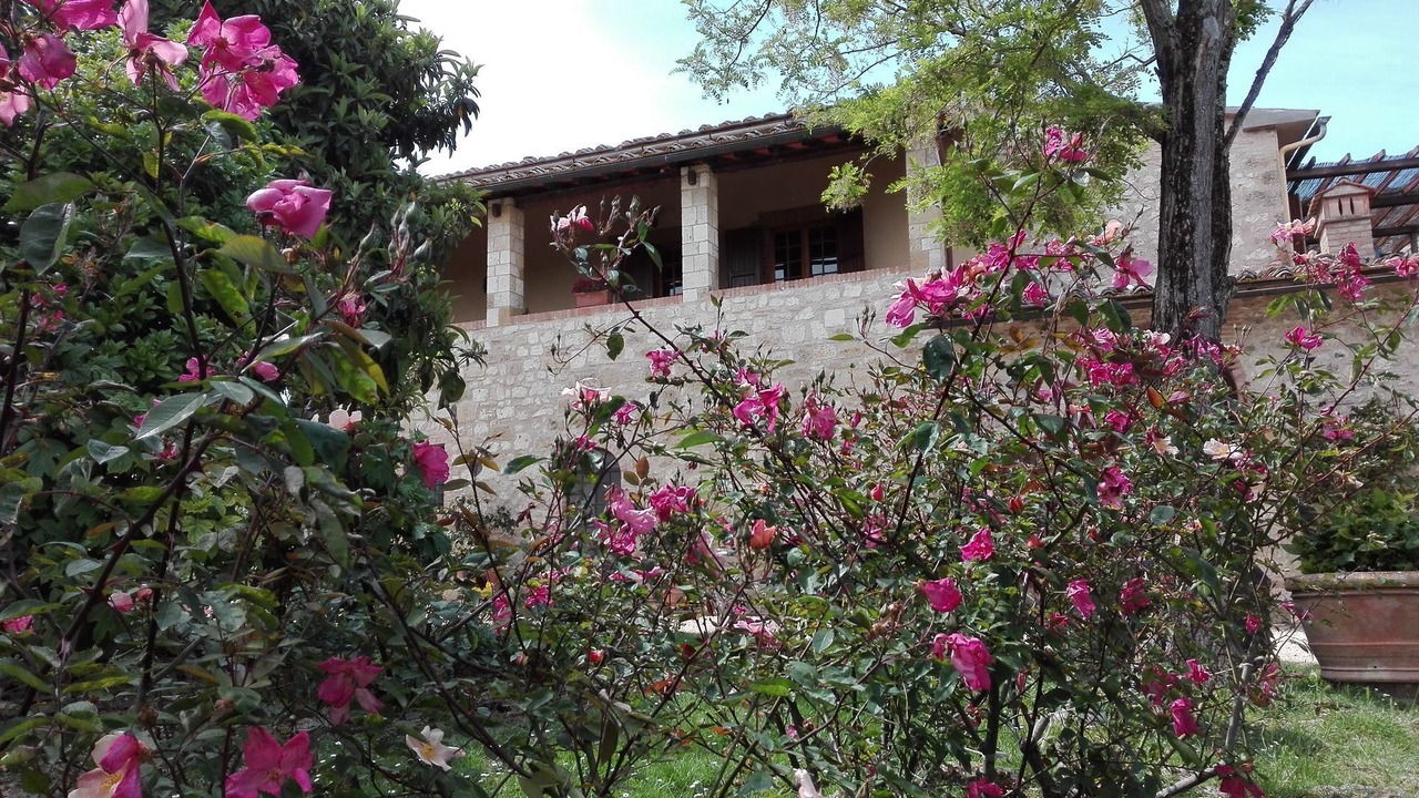 Photo of Outdoor in Colle di Val d'Elsa