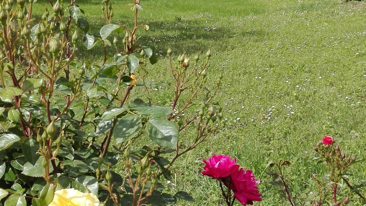 Photo of Outdoor in Colle di Val d'Elsa