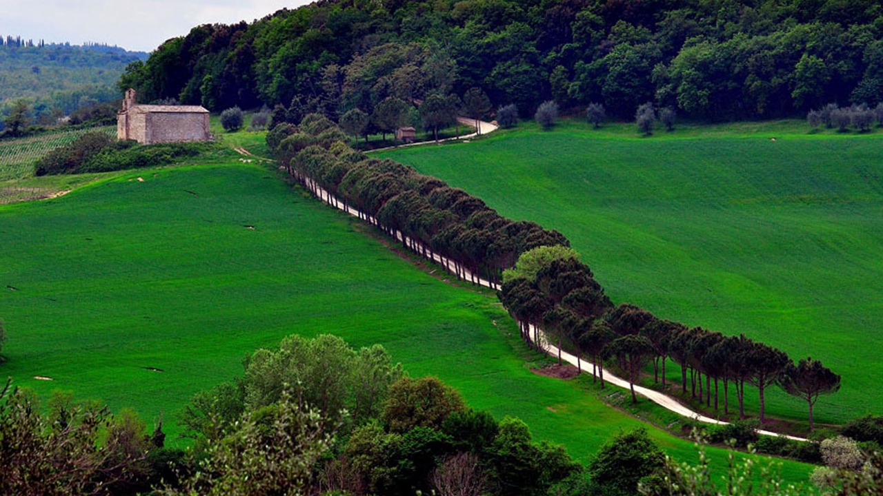 Photo of Others in Colle di Val d'Elsa