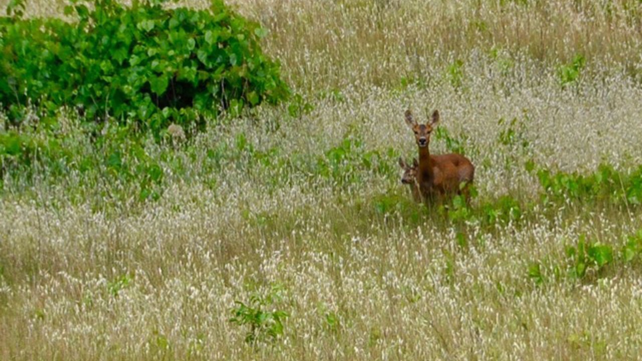 Photo of Others in Colle di Val d'Elsa