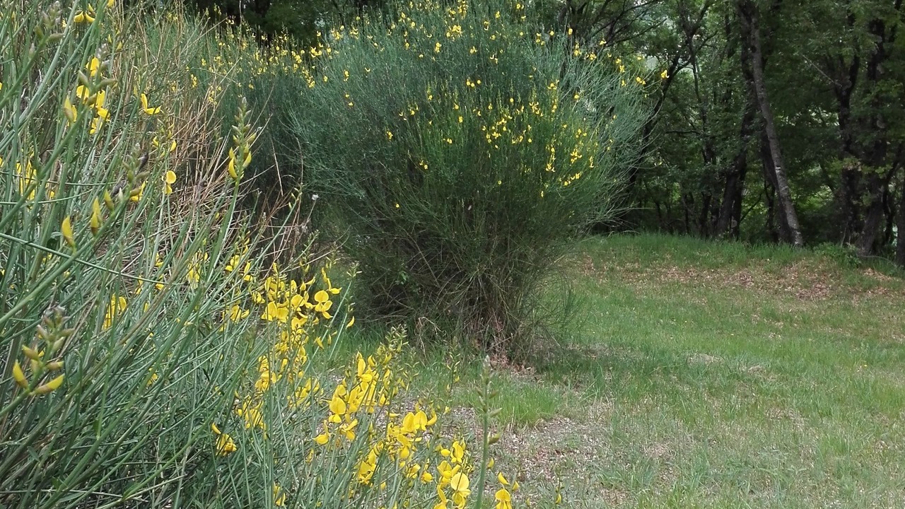 Photo of Outdoor in Colle di Val d'Elsa