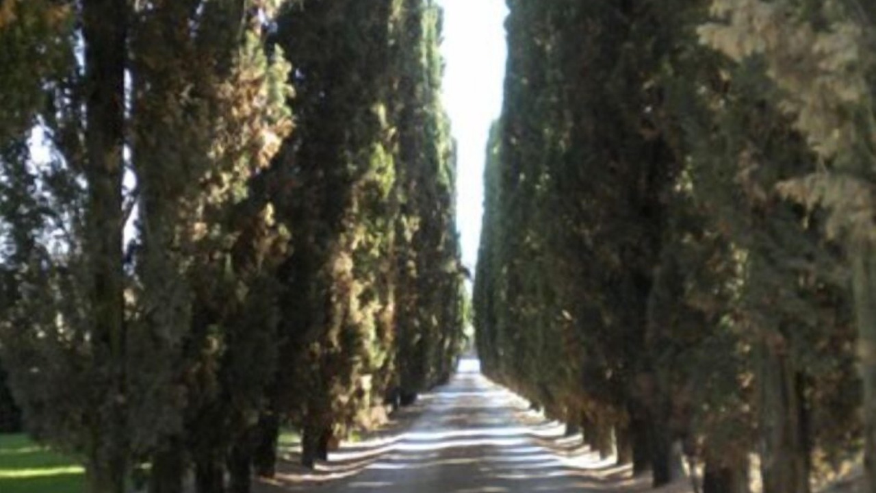 Photo of Outdoor in Colle di Val d'Elsa