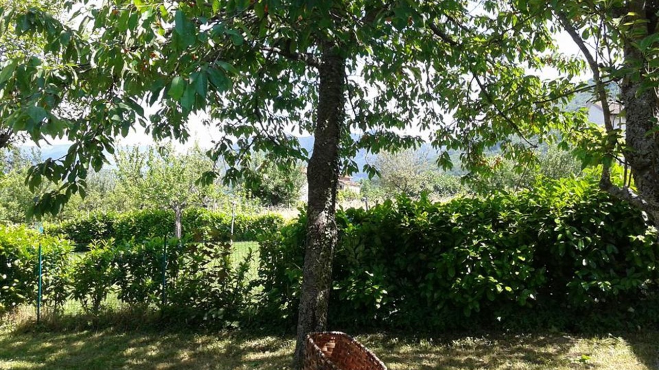 Photo of Outdoor in Porretta Terme