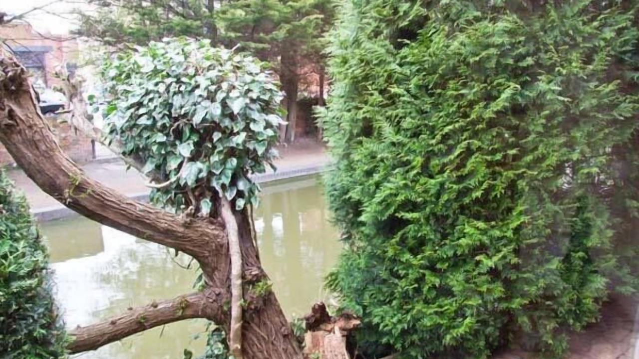 Photo of Outdoor in City Centre