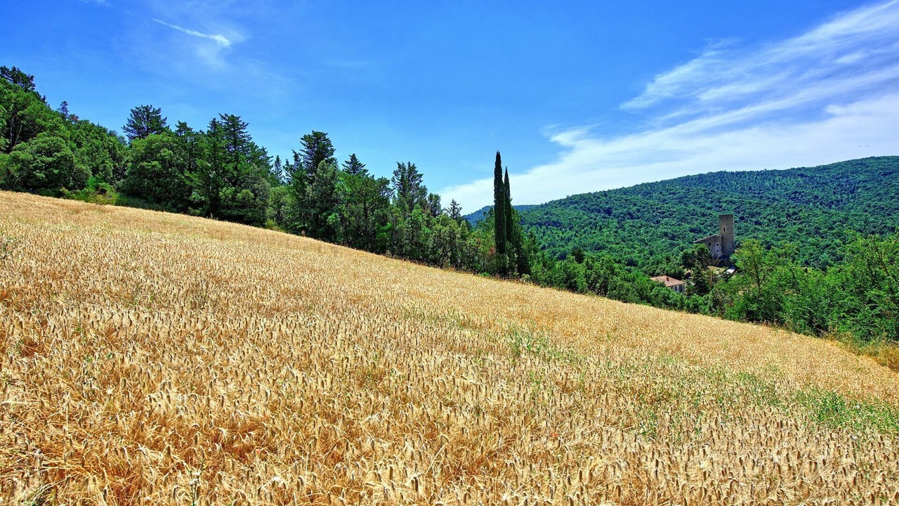 Photo of Outdoor in San Macario In Monte