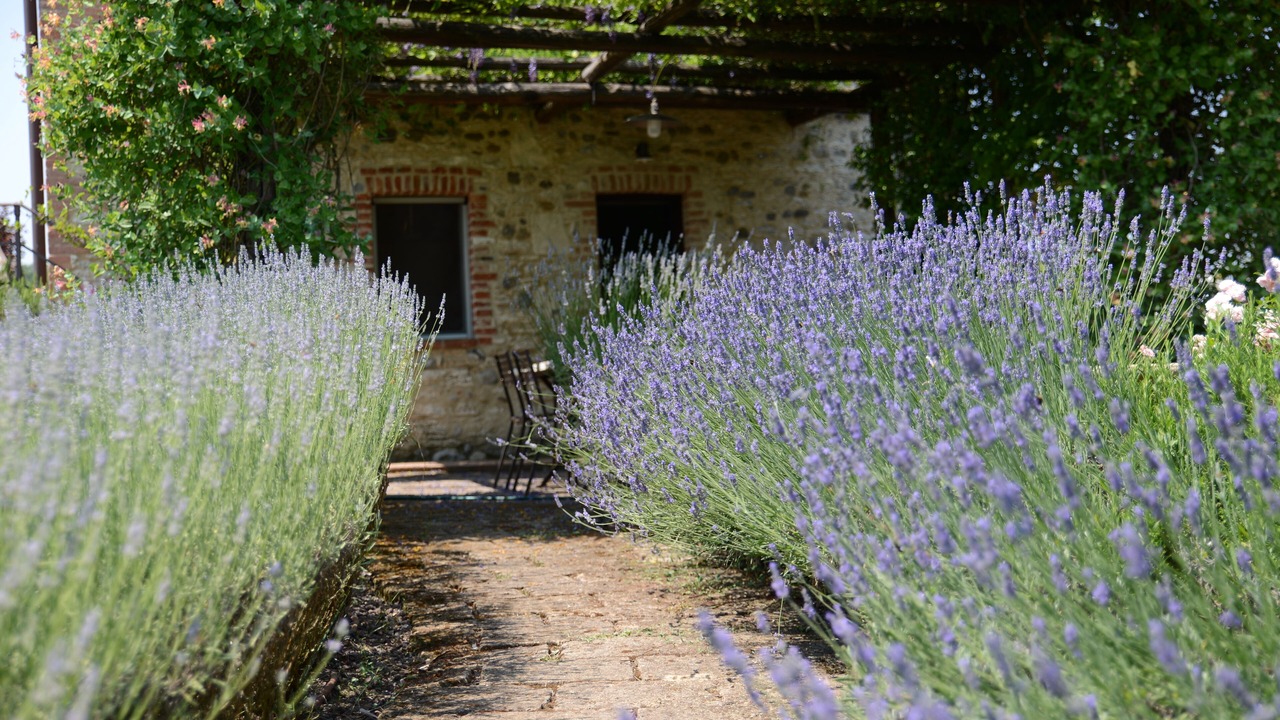 Photo of Outdoor in Torre A Castello