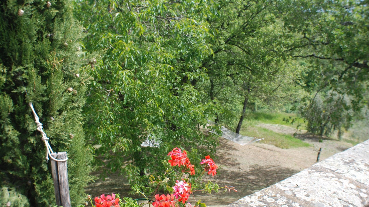 Photo of Others in Starda