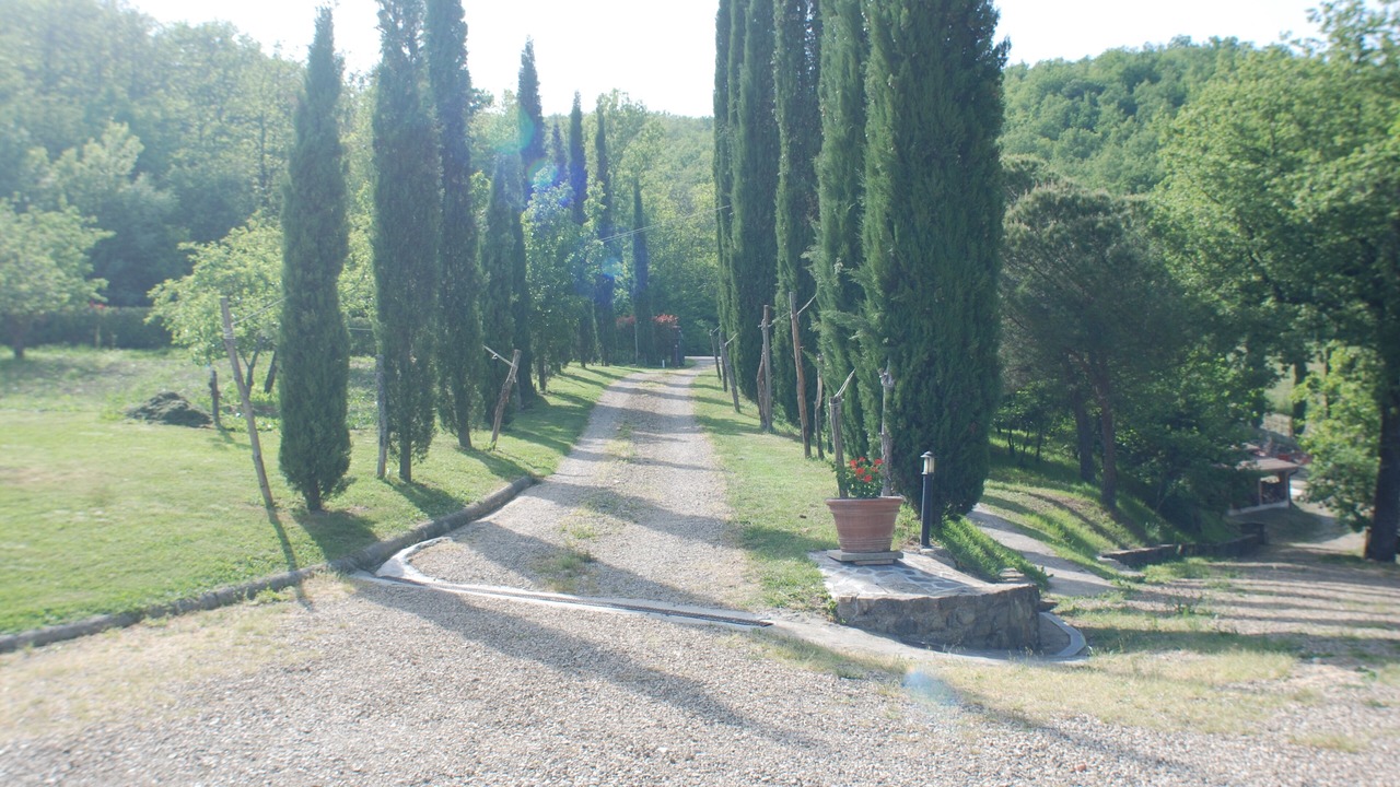 Photo of Others in Starda