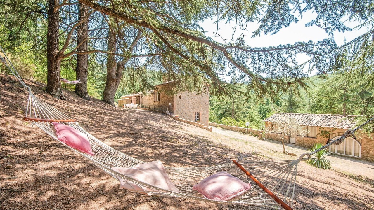 Photo of Others in Gaiole in Chianti
