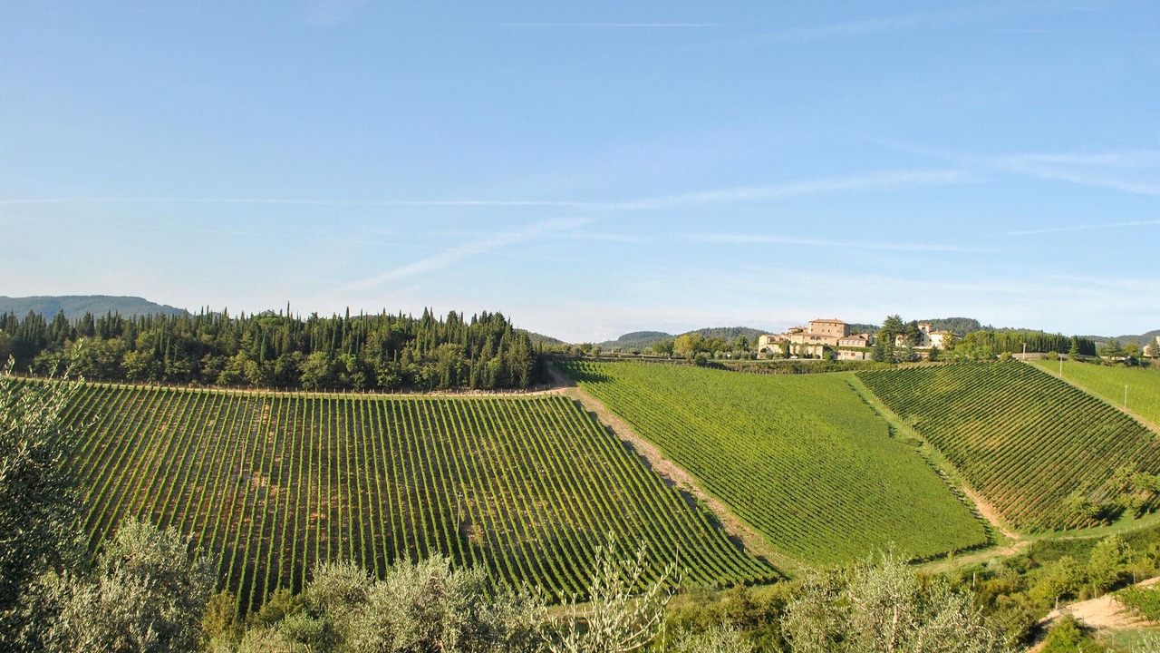 Photo of Others in Gaiole in Chianti