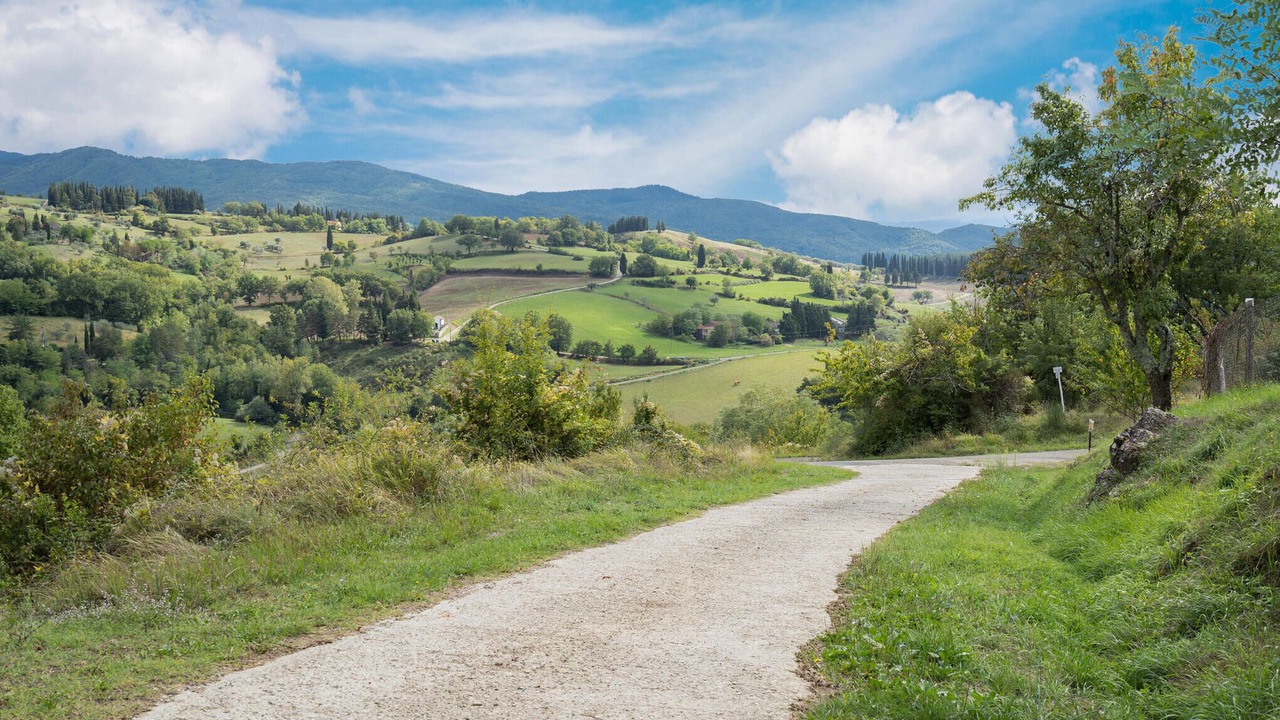Photo of Others in Dicomano
