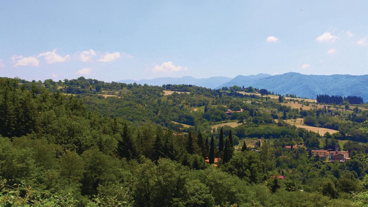 Photo of Others in Dicomano