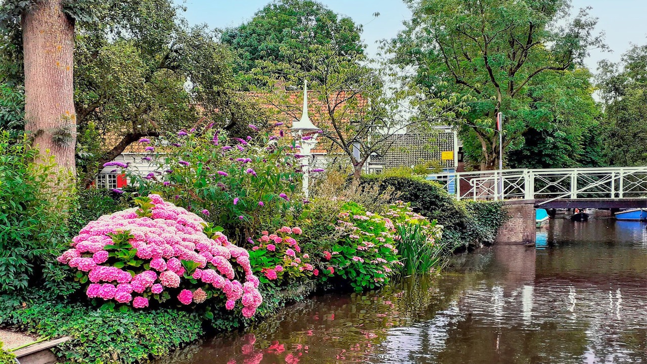 Photo of Others in Edam
