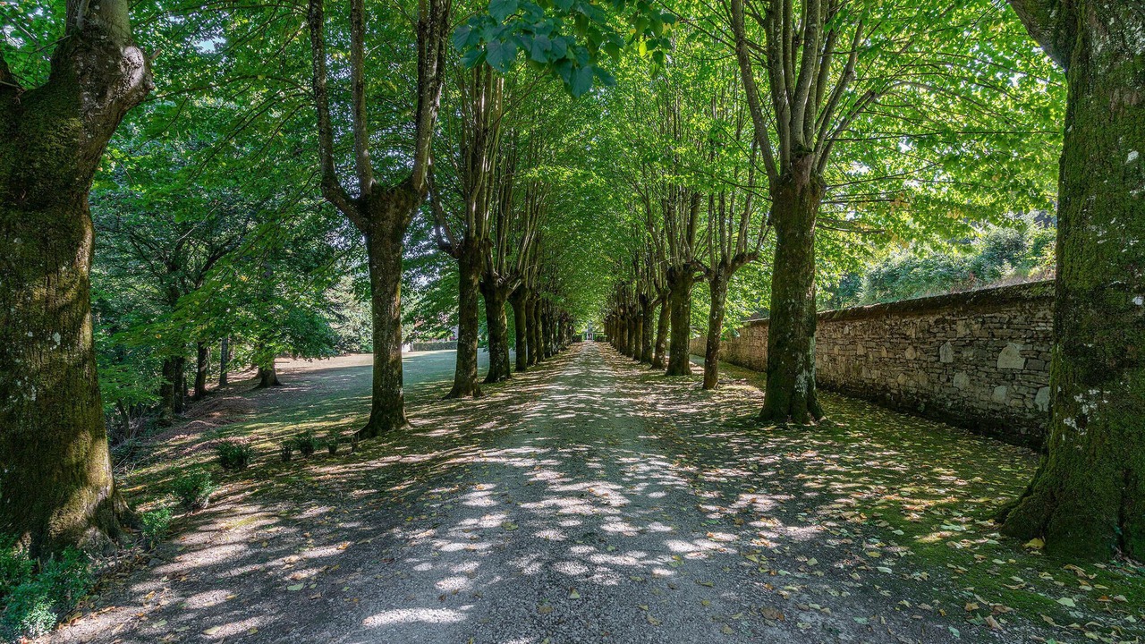 Photo of Others in Borgo San Lorenzo