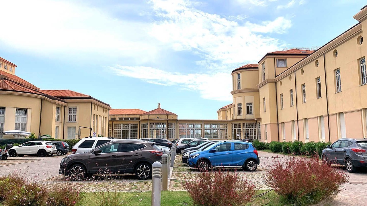 Photo of Outdoor in Calambrone