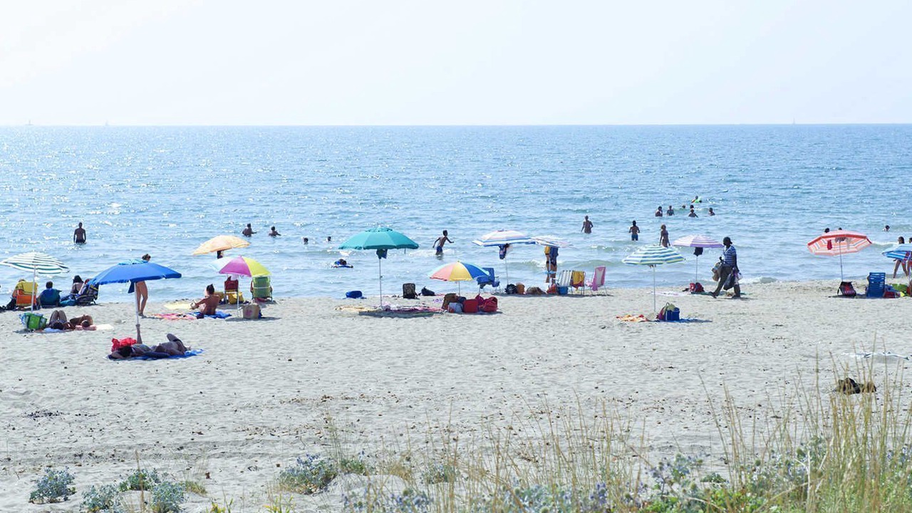 Photo of Others in Calambrone