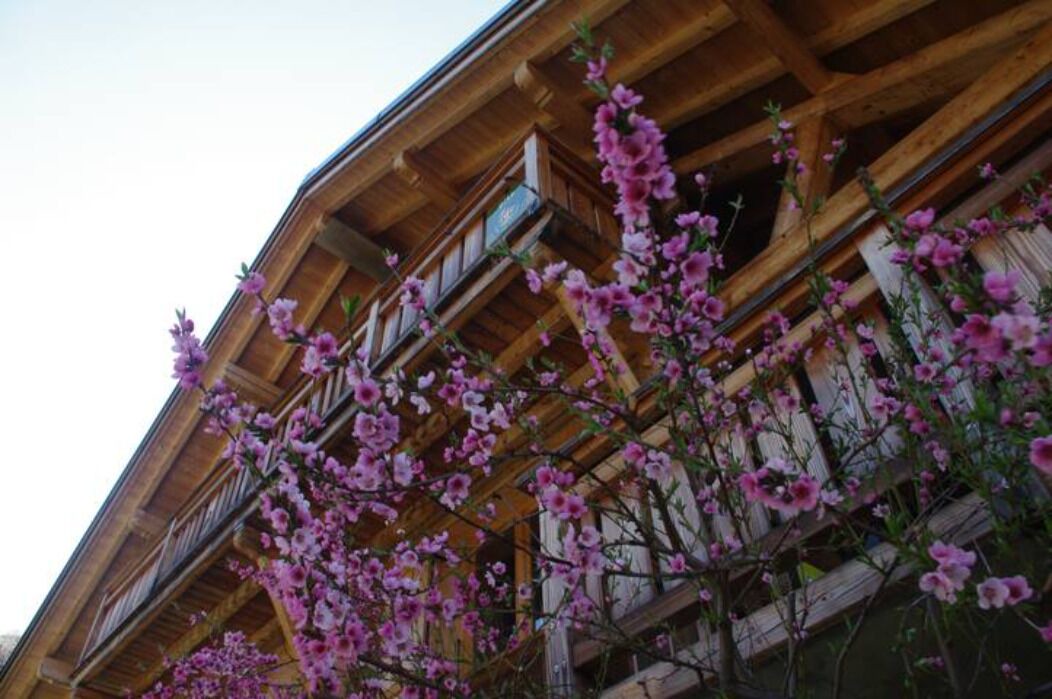 Photo of Outdoor in Queige