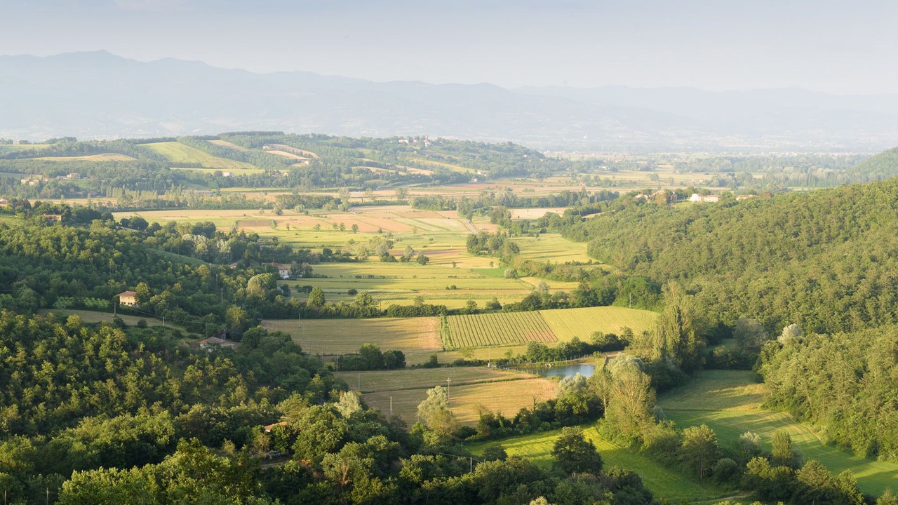 Photo of Outdoor in Santa Reparata