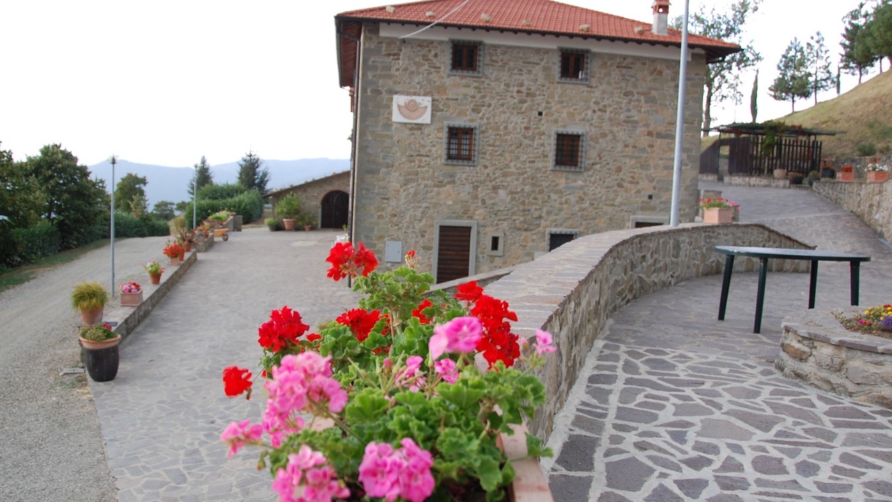 Photo of Outdoor in Londa