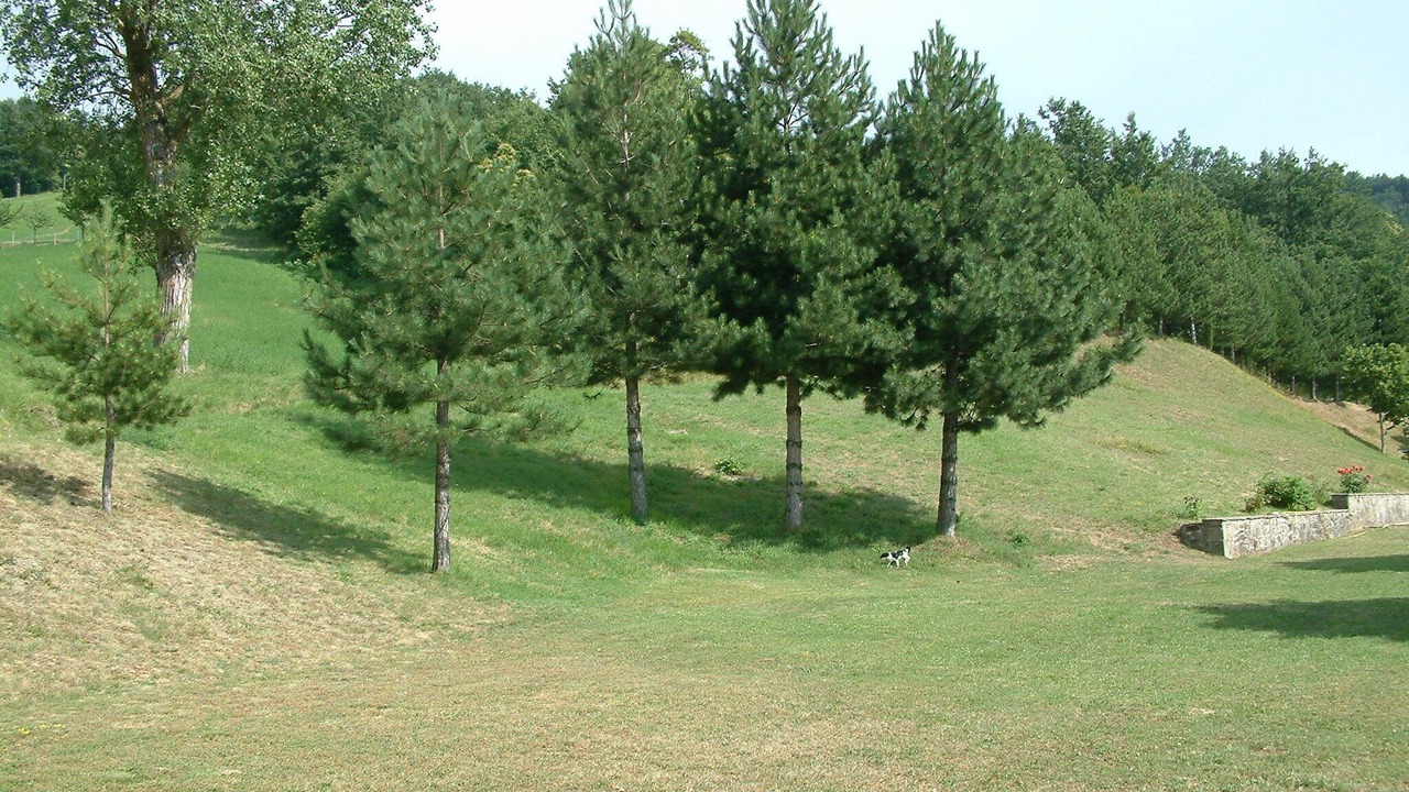 Photo of Outdoor in Londa