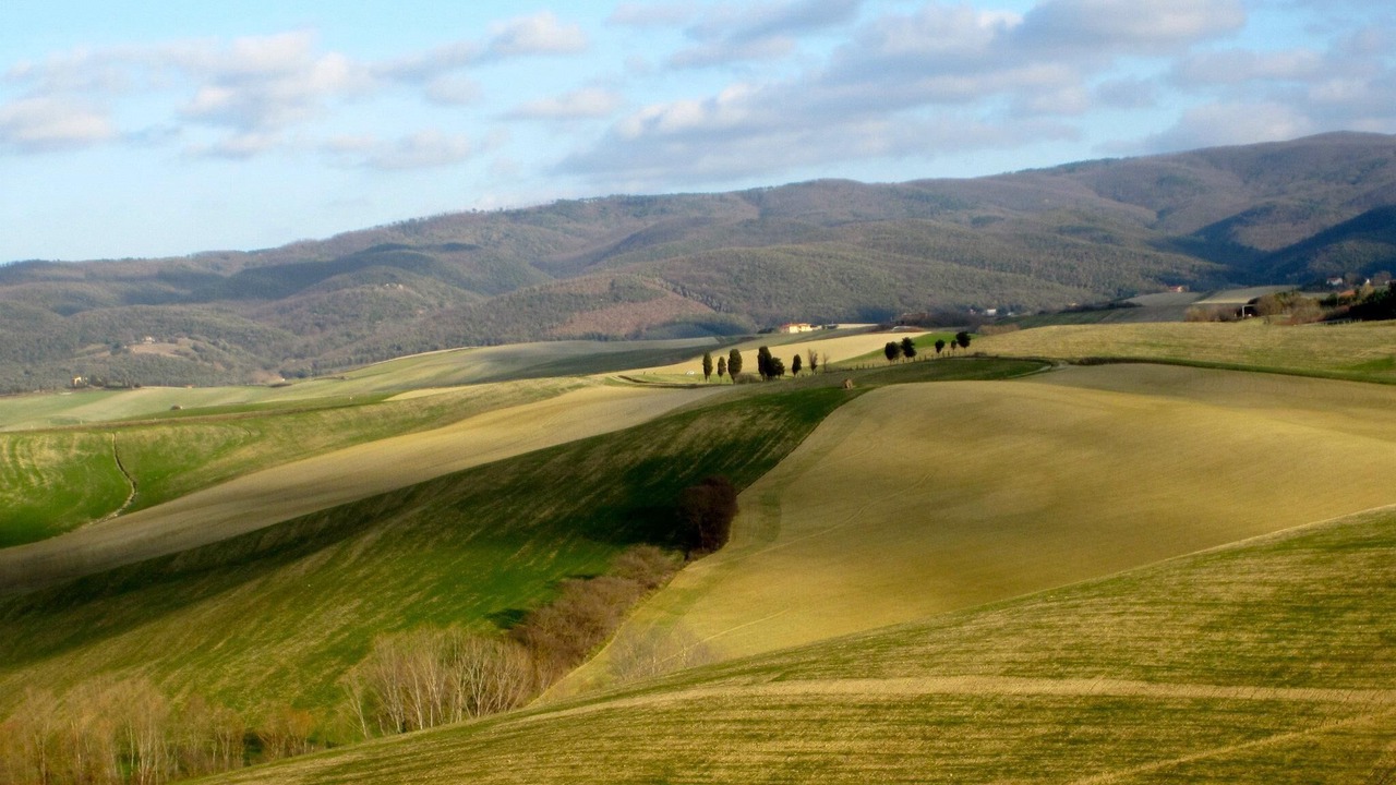 Photo of Others in Orciano Pisano