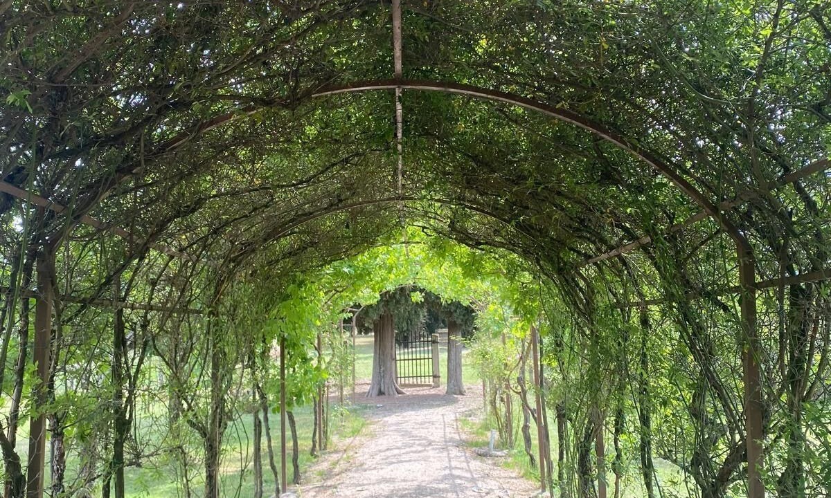 Photo of Outdoor in Montepulciano
