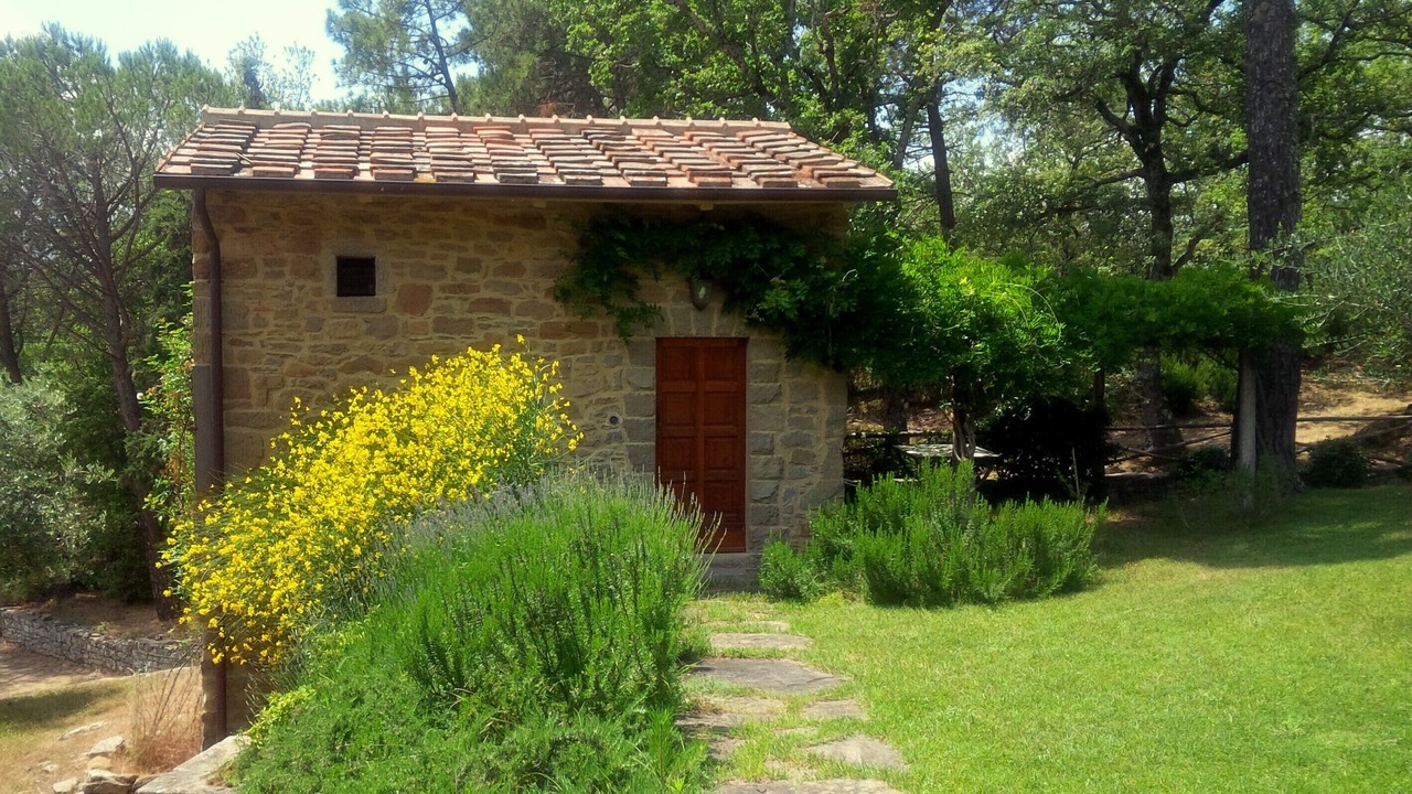 Photo of Outdoor in San Giustino Valdarno