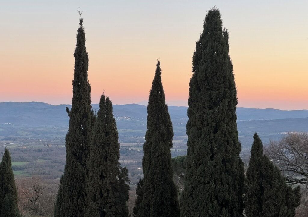 Photo of Others in San Giustino Valdarno