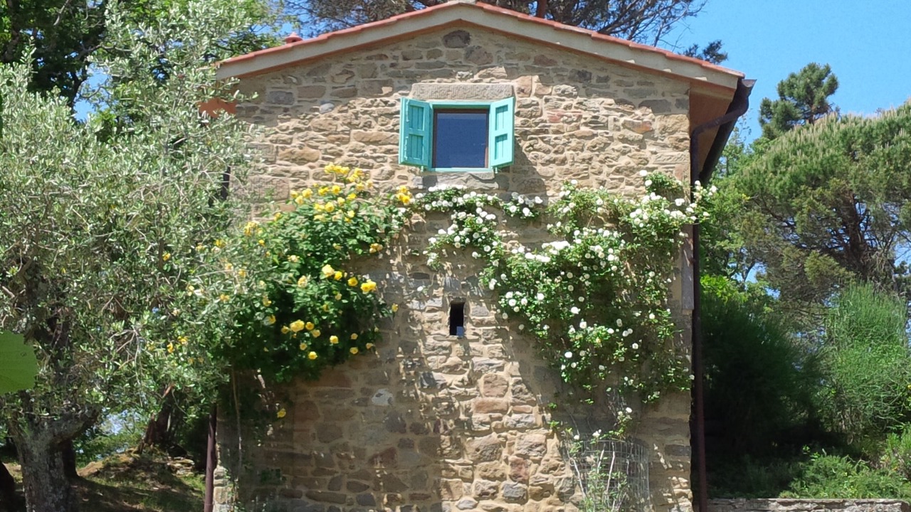 Photo of Outdoor in San Giustino Valdarno