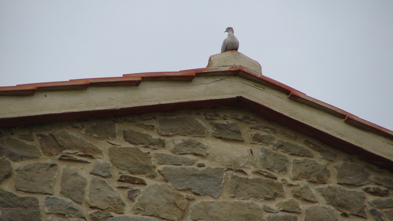 Photo of Outdoor in San Giustino Valdarno