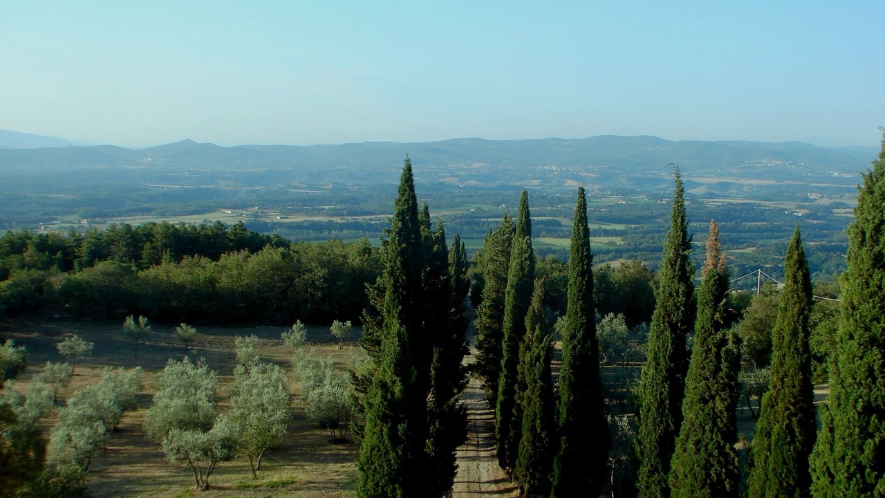 Photo of Outdoor in San Giustino Valdarno