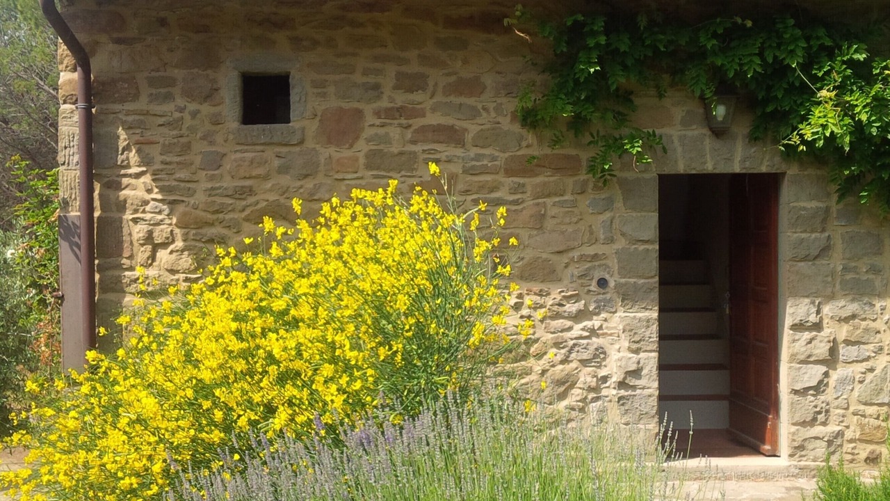 Photo of Outdoor in San Giustino Valdarno